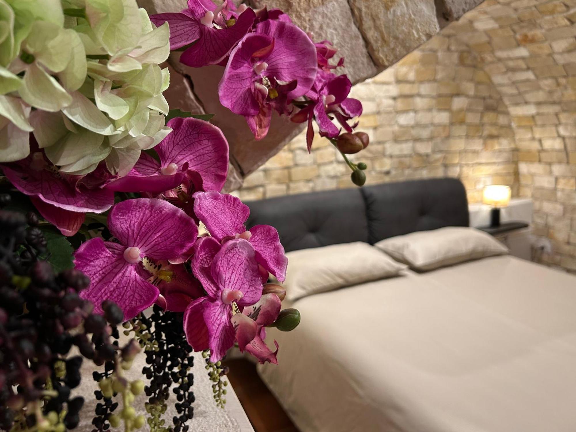 B&B Bari Vecchia R Dış mekan fotoğraf